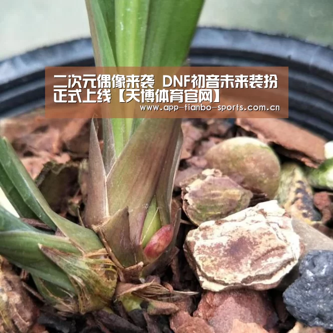 天博体育手机版