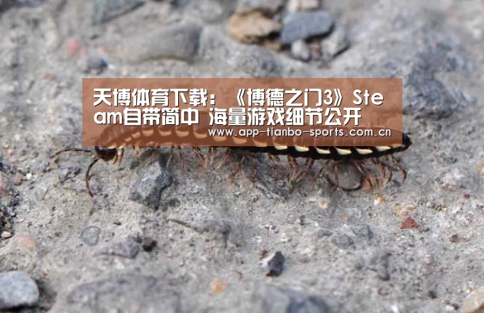 天博体育手机版