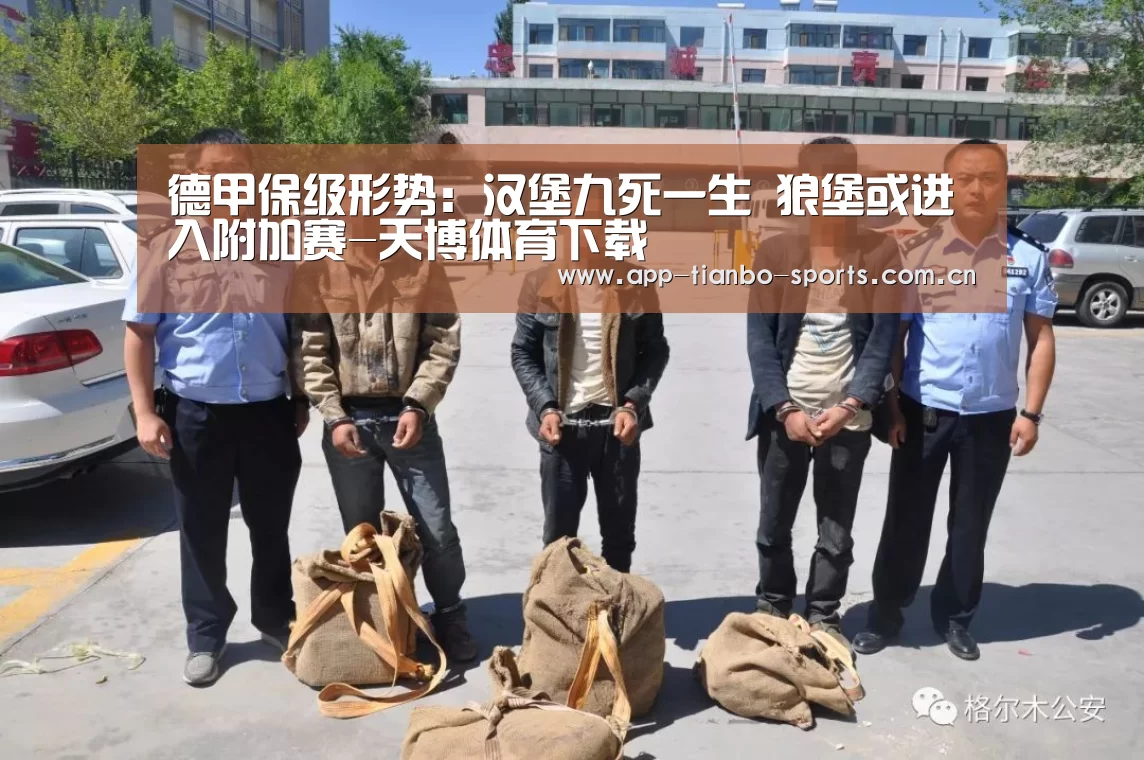 德甲保级形势：汉堡九死一生 狼堡或进入附加赛-天博体育下载